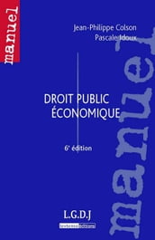 Droit public économique - 6e édition