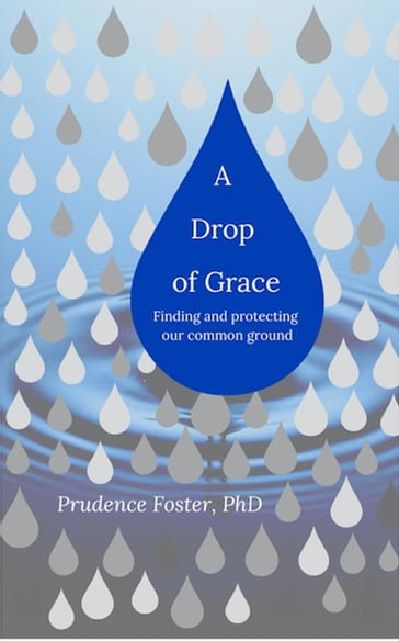 A Drop of Grace: Finding and Protecting our Common Ground - Prudence Foster