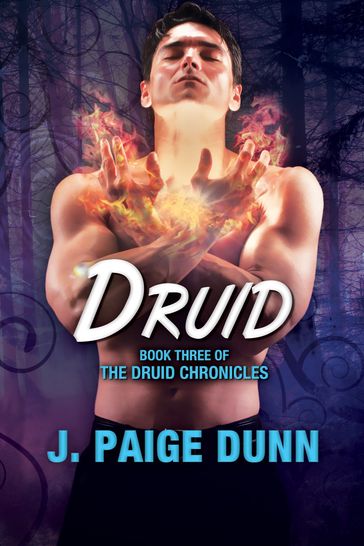 Druid: Book Three of the Druid Chronicles - J. Dunn