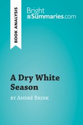 A Dry White Season by André Brink (Book Analysis)