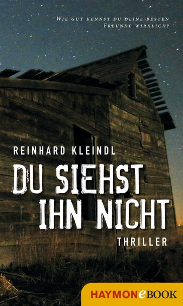 Du siehst ihn nicht - Reinhard Kleindl