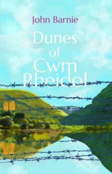 Dunes of Cwm Rheidol - John Barnie