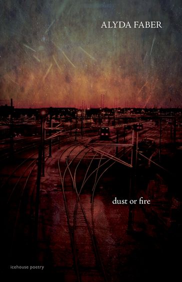 Dust or Fire - Alyda Faber