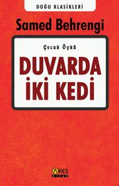 Duvarda ki Kedi