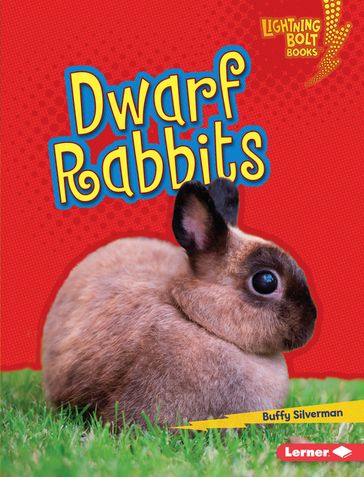 Dwarf Rabbits - Buffy Silverman