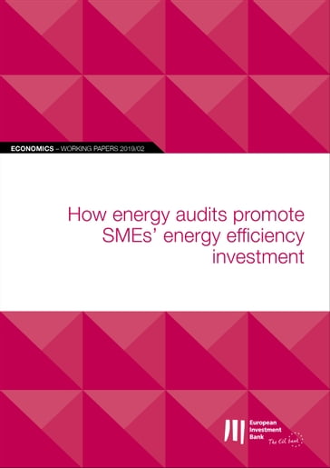 EIB Working Papers 2019/02 - How energy audits promote SMEs' energy efficiency investment