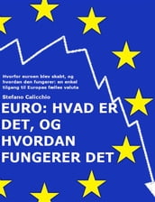 EURO: Hvad er det, og hvordan fungerer det