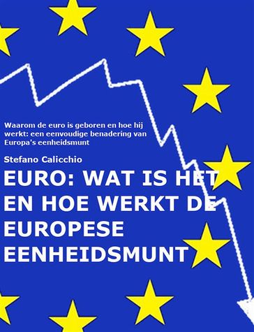 EURO: wat is het en hoe werkt de Europese eenheidsmunt - Stefano Calicchio