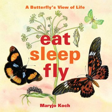 Eat, Sleep, Fly - Maryjo Koch