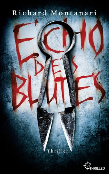 Echo des Blutes - Richard Montanari