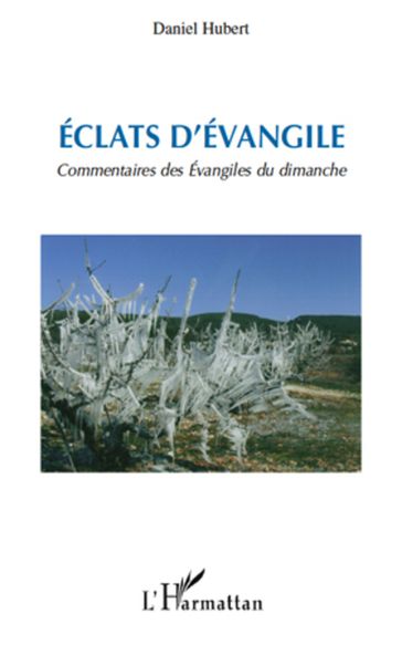 Eclats d'Evangile - Daniel Hubert