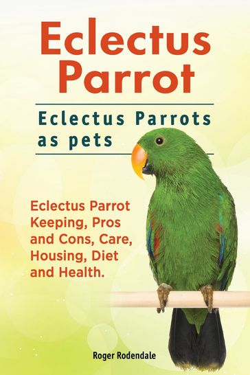 Eclectus Parrot. Eclectus Parrots as pets. Eclectus Parrot Keeping, Pros and Cons, Care, Housing, Diet and Health. - Roger Rodendale