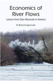 Economics of River Flows