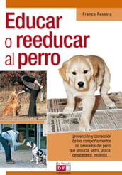 Educar o reeducar al perro