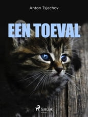 Een toeval