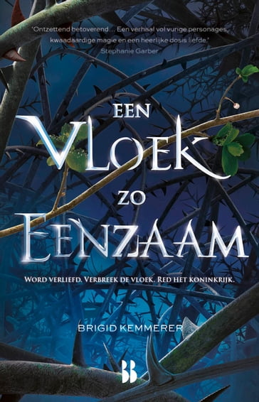 Een vloek zo eenzaam - Brigid Kemmerer