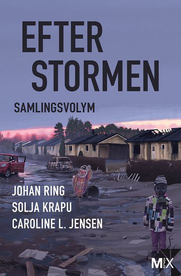 Efter stormen - Caroline L. Jensen - Johan Ring - Solja Krapu