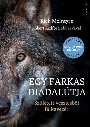 Egy farkas diadalútja - Rick McIntyre