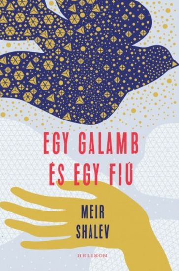 Egy galamb és egy fiú - Meir Shalev