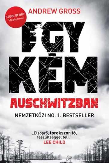 Egy kém Auschwitzban - Andrew Gross