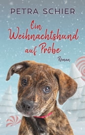 Ein Weihnachtshund auf Probe