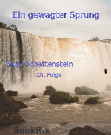 Ein gewagter Sprung - Susy Schattenstein