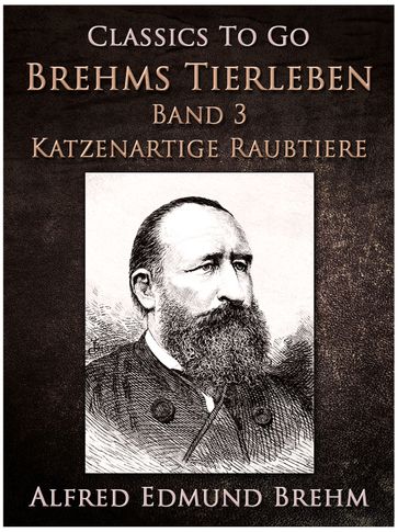 Ein stummer Musikant. Die Geschichte einer Künstlerliebe - Maximilian Bern