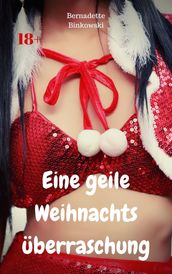 Eine geile Weihnachtsüberraschung