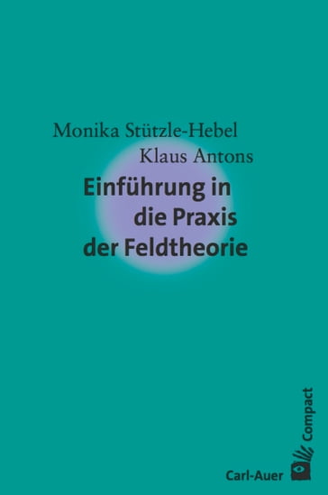 Einführung in die Praxis der Feldtheorie - Klaus Antons - Monika Stutzle-Hebel
