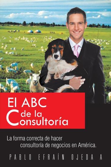 El Abc De La Consultoría - Pablo Ojeda