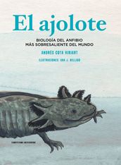 El ajolote