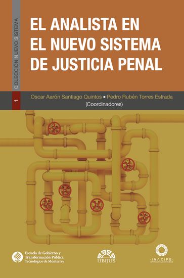 El analista en el nuevo sistema de justicia penal - Patricio Hernán Tudela Poblete - Pedro Vallarta Cobo - Edith Bautista García - Patricia Bugarín Gutiérrez - Pedro Rubén Torres Estrada - Estefanía Bojórquez Delgado - Yuriria Torres Páez - Oscar Aarón Santiago Quintos - Alma Leticia Lares Tenorio