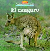 El canguro