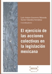 El ejercicio de las acciones colectivas en la legislación mexicana