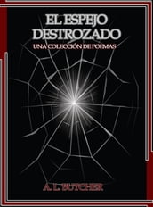 El espejo destrozado