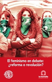 El feminismo en debate reforma o revolución?