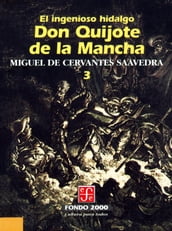 El ingenioso hidalgo don Quijote de la Mancha, 3