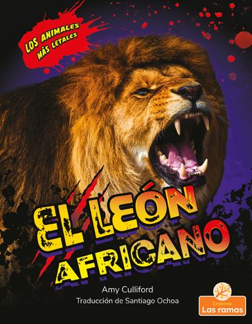 El león africano (African Lion) - Amy Culliford