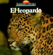 El leopardo