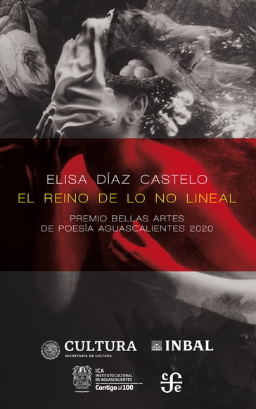 El reino de lo no lineal - Elisa Díaz Castelo
