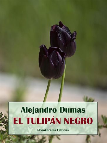 El tulipán negro - Alejandro Dumas