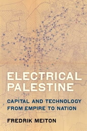 Electrical Palestine