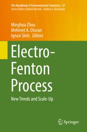 Electro-Fenton Process