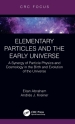 Elementary Particles and the Early Universe