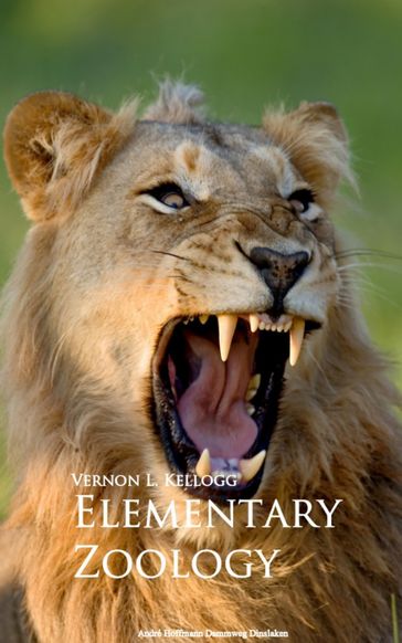 Elementary Zoology - Vernon L. Kellogg