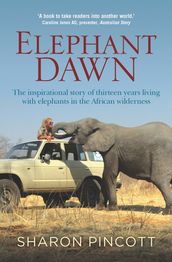 Elephant Dawn