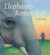 Elephants Remember
