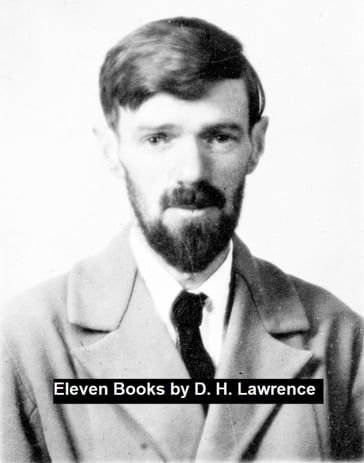 Eleven Books - D.H. Lawrence