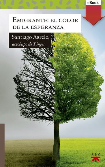 Emigrante: el color de la esperanza - Santiago Agrelo Martínez
