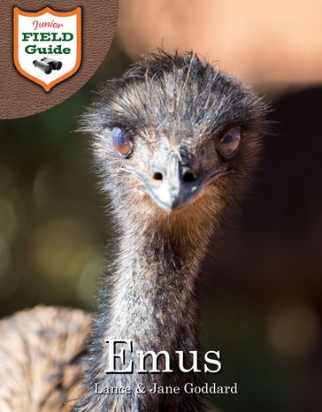 Emus - Jane Goddard - Lance Goddard